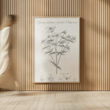 Elements of Botany X by Wild Apple Portfolio. shown as over sized large wall art. Available as an archival giclee rolled canvas, fine art paper, or poster print. SKU 39009h.