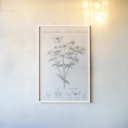 Elements of Botany X by Wild Apple Portfolio. shown as a paper print in a white frame. Available as a archival giclee rolled canvas, fine art paper, or poster print. SKU 39009h.