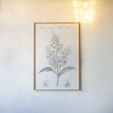Elements of Botany XI by Wild Apple Portfolio. shown as a paper print in a natural frame. Available as a archival giclee rolled canvas, fine art paper, or poster print. SKU 39010h.