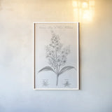 Elements of Botany XI by Wild Apple Portfolio. shown as a paper print in a white frame. Available as a archival giclee rolled canvas, fine art paper, or poster print. SKU 39010h.