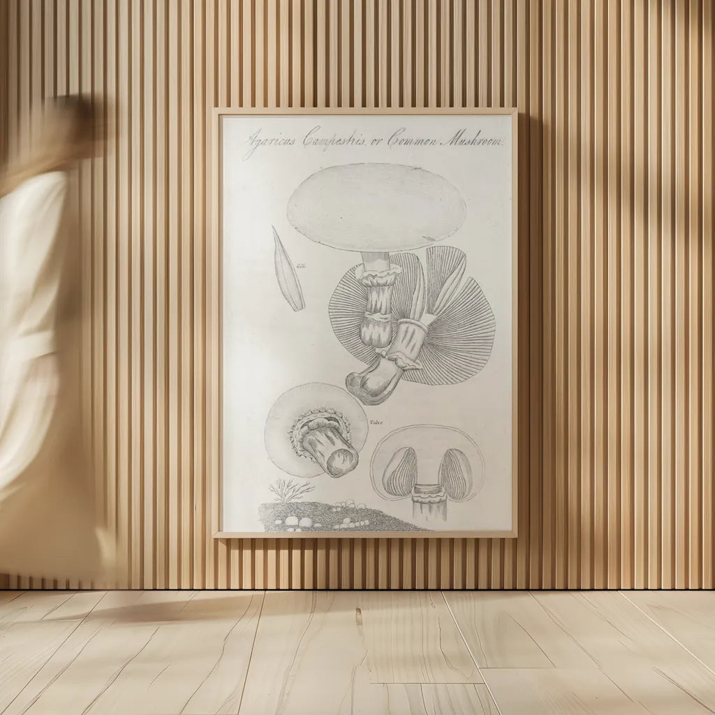 Elements of Botany XII by Wild Apple Portfolio. shown as over sized large wall art. Available as an archival giclee rolled canvas, fine art paper, or poster print. SKU 39011h.