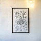 Elements of Botany XIII by Wild Apple Portfolio. shown as a paper print in a black flame. Available as a archival giclee rolled canvas, fine art paper, or poster print. SKU 39012h.