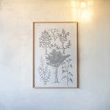Elements of Botany XIII by Wild Apple Portfolio. shown as a paper print in a natural frame. Available as a archival giclee rolled canvas, fine art paper, or poster print. SKU 39012h.