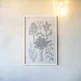 Elements of Botany XIII by Wild Apple Portfolio. shown as a paper print in a white frame. Available as a archival giclee rolled canvas, fine art paper, or poster print. SKU 39012h.