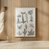 Elements of Botany XIV by Wild Apple Portfolio. shown as over sized large wall art. Available as an archival giclee rolled canvas, fine art paper, or poster print. SKU 39013h.