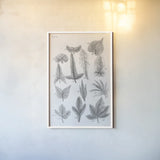 Elements of Botany XIV by Wild Apple Portfolio. shown as a paper print in a white frame. Available as a archival giclee rolled canvas, fine art paper, or poster print. SKU 39013h.