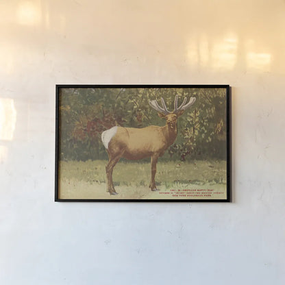 Elk II by Wild Apple Portfolio. shown as a paper print in a black flame. Available as a archival giclee rolled canvas, fine art paper, or poster print. SKU 96707i.