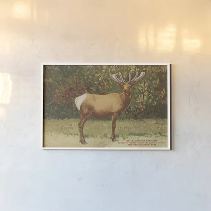 Elk II by Wild Apple Portfolio. shown as a paper print in a white frame. Available as a archival giclee rolled canvas, fine art paper, or poster print. SKU 96707i.