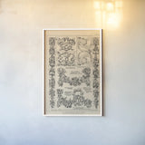 English Renaissance III by Wild Apple Portfolio. shown as a paper print in a white frame. Available as a archival giclee rolled canvas, fine art paper, or poster print. SKU 62817h.