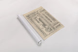 English Renaissance V by Wild Apple Portfolio. shown as a rolled paper print. Available as archival giclee rolled canvas, fine art paper, or poster print. SKU 62819h.