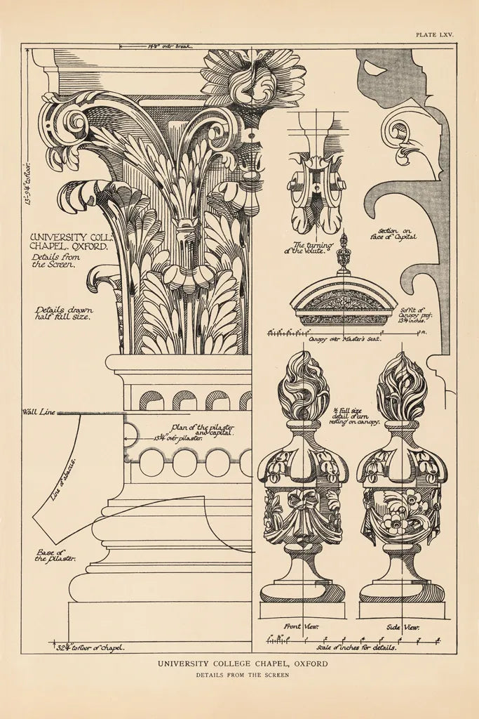 English Renaissance VII by Wild Apple Portfolio. SKU 62821h. Archival Giclee Fine art print for wall decor.