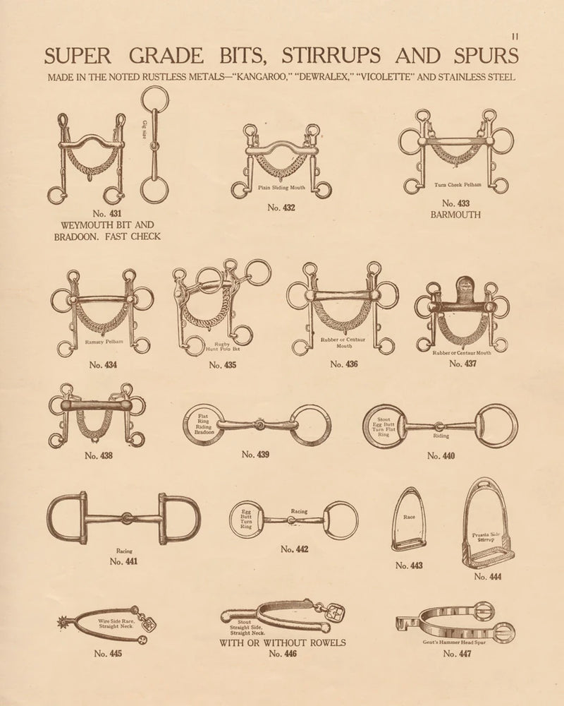 Equine Riding Gear I v2 by Wild Apple Portfolio