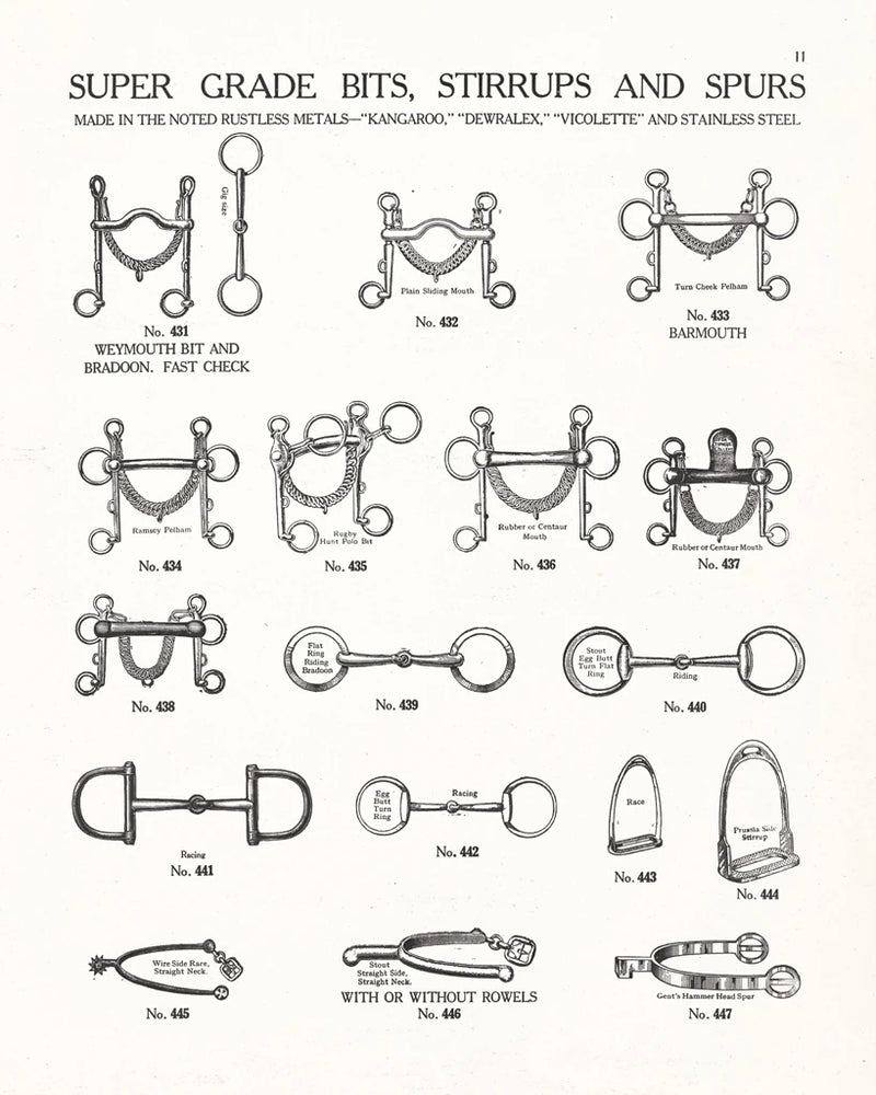 Equine Riding Gear I v2 BW by Wild Apple Portfolio