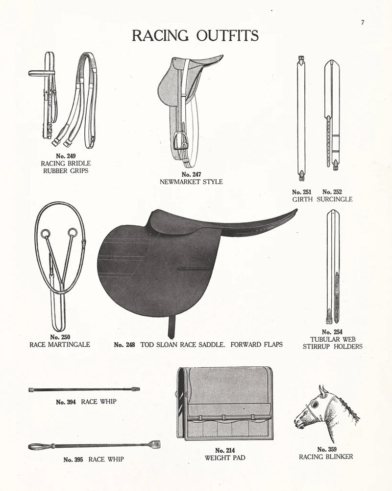 Equine Riding Gear III v2 BW by Wild Apple Portfolio