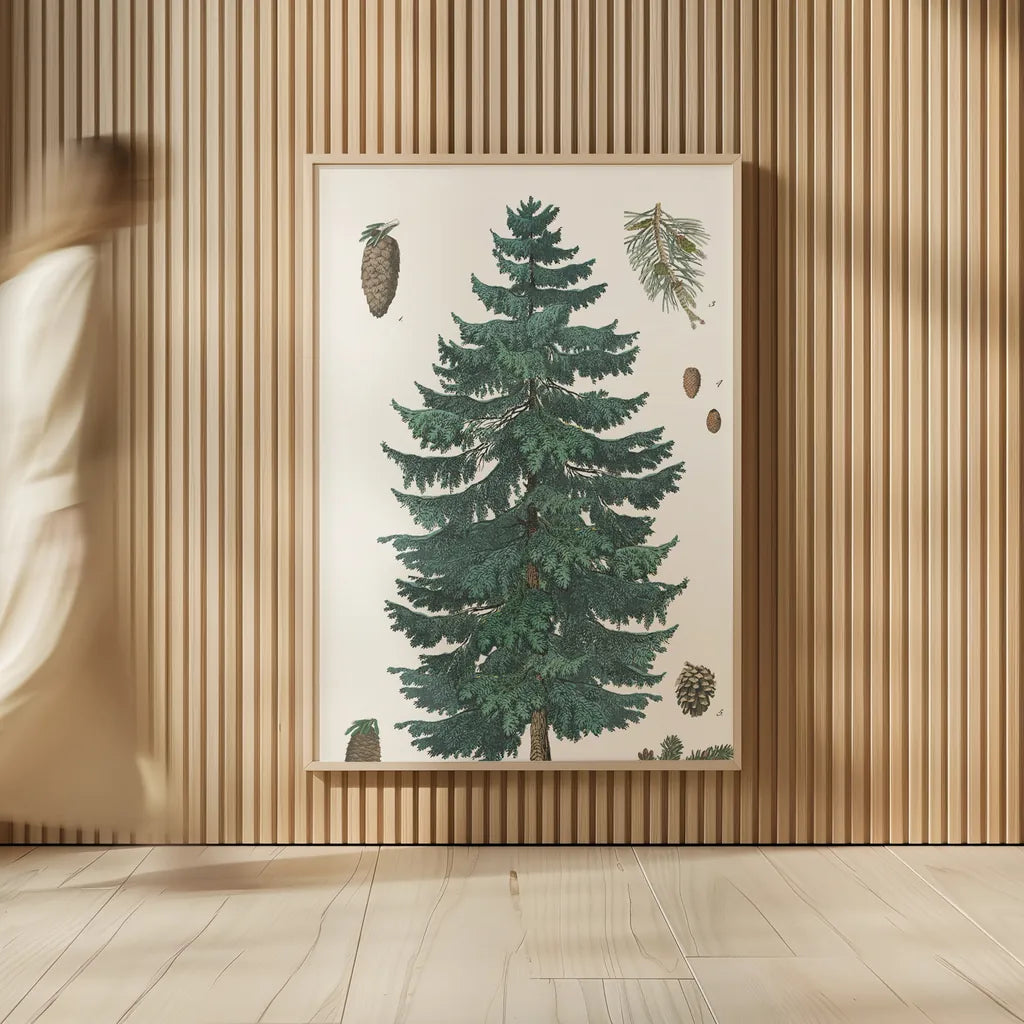 Evergreen Botanical Chart by Wild Apple Portfolio. shown as over sized large wall art. Available as an archival giclee rolled canvas, fine art paper, or poster print. SKU 79989h.