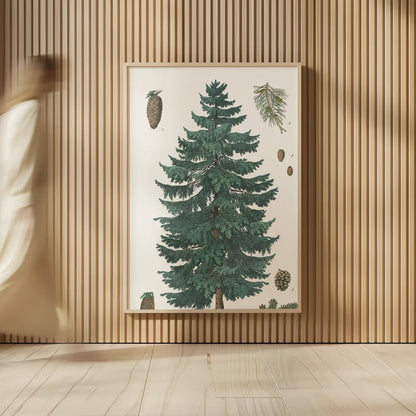 Evergreen Botanical Chart by Wild Apple Portfolio. shown as over sized large wall art. Available as an archival giclee rolled canvas, fine art paper, or poster print. SKU 79989h.