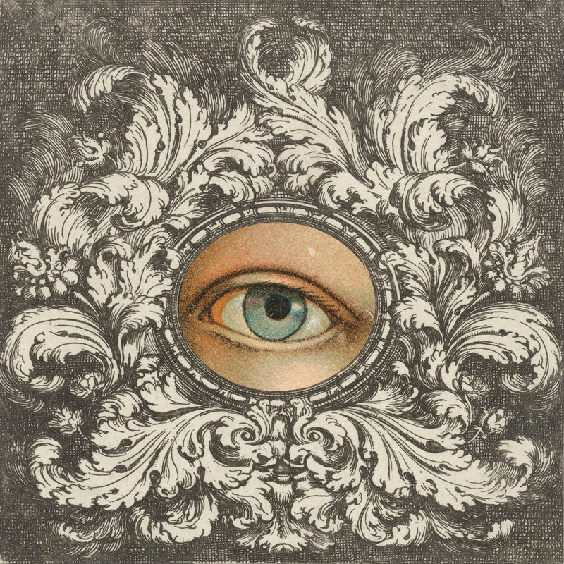 Eyes Are Watching I by Wild Apple Portfolio