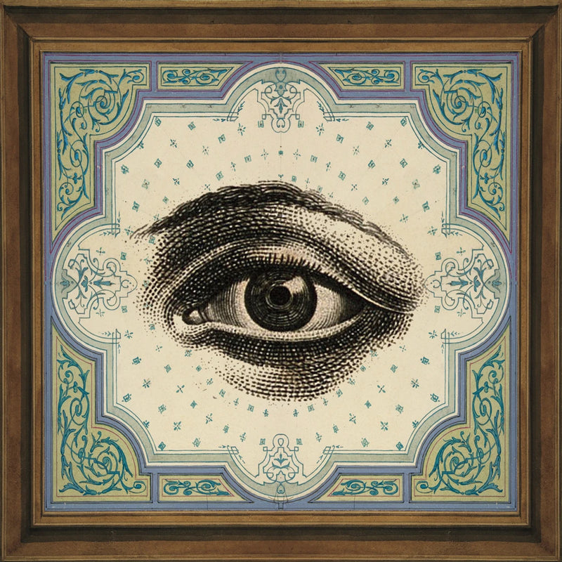 Eyes Are Watching V by Wild Apple Portfolio
