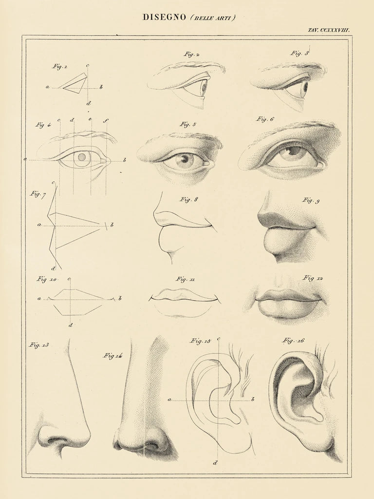 Face Chart by Wild Apple Portfolio