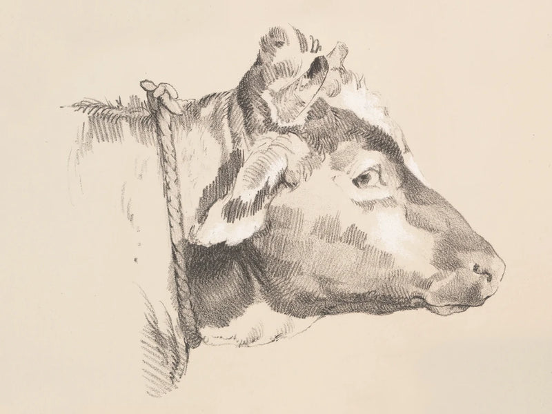 Farm Sketch IV by Wild Apple Portfolio