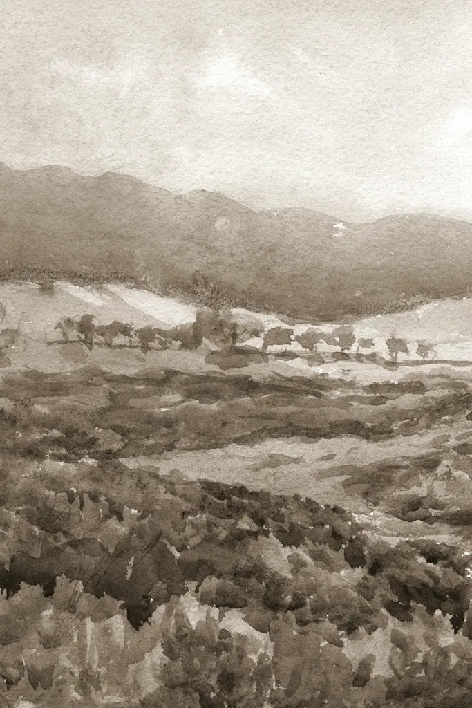 Field of Flowers II Sepia by Wild Apple Portfolio. SKU 81069h. Archival Giclee Fine art print for wall decor.