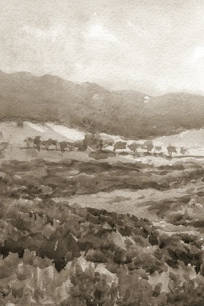 Field of Flowers II Sepia by Wild Apple Portfolio. SKU 81069h. Archival Giclee Fine art print for wall decor.