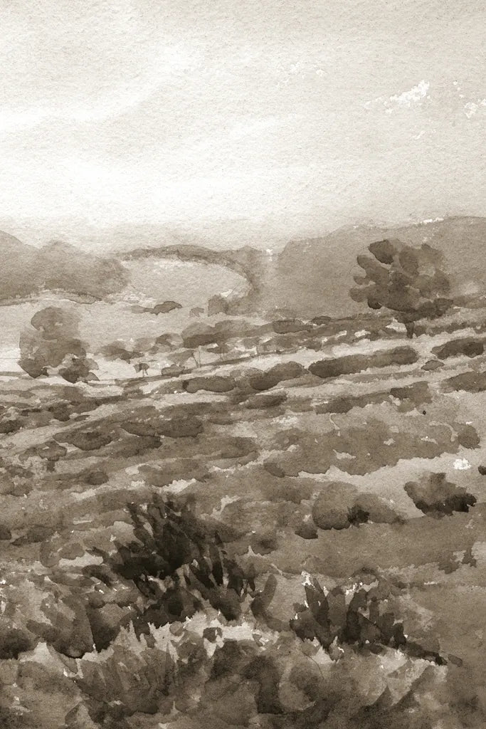 Field of Flowers III Sepia by Wild Apple Portfolio. SKU 81070h. Archival Giclee Fine art print for wall decor.