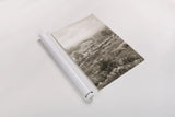 Field of Flowers III Sepia by Wild Apple Portfolio. shown as a rolled paper print. Available as archival giclee rolled canvas, fine art paper, or poster print. SKU 81070h.