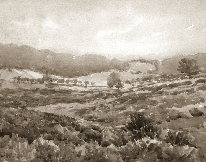Field of Flowers Sepia by Wild Apple Portfolio