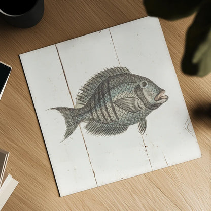 Fish Sketches I Shiplap by Wild Apple Portfolio. Shown as a detailed flat fine art print, highlighting archival giclee quality. Available as an archival giclee rolled canvas, fine art paper, or poster print. SKU 36261a.