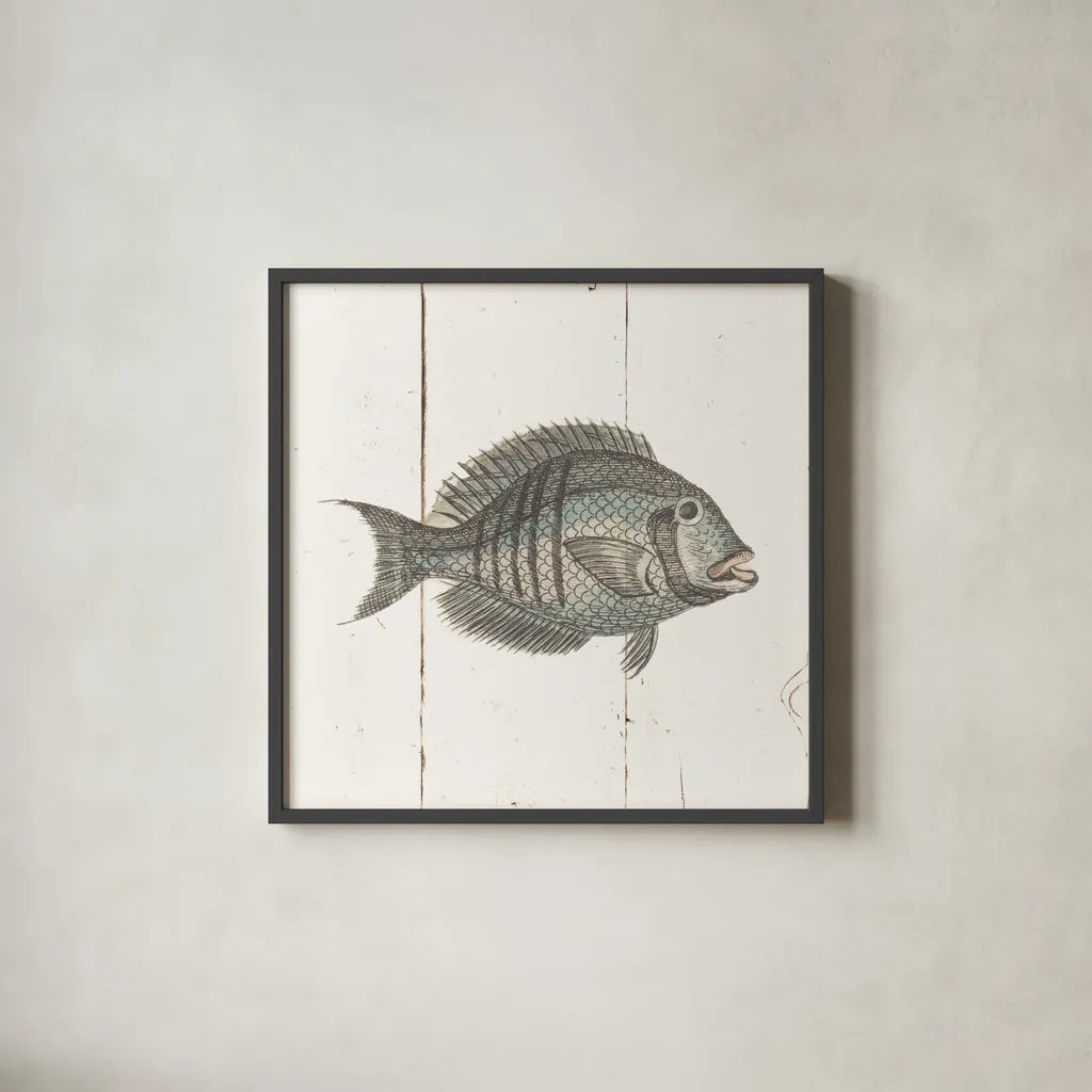 Fish Sketches I Shiplap by Wild Apple Portfolio. Shown in a sleek black glass frame for a contemporary gallery look. Available as an archival giclee rolled canvas, fine art paper, or poster print. SKU 36261a.