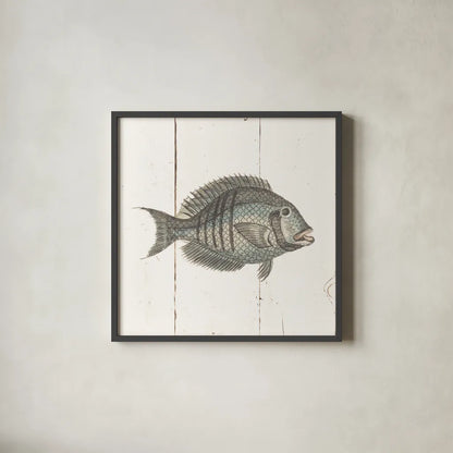 Fish Sketches I Shiplap by Wild Apple Portfolio. Shown in a sleek black glass frame for a contemporary gallery look. Available as an archival giclee rolled canvas, fine art paper, or poster print. SKU 36261a.