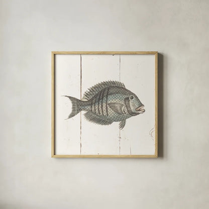 Fish Sketches I Shiplap by Wild Apple Portfolio. Shown in a natural wood glass frame for a timeless modern aesthetic. Available as an archival giclee rolled canvas, fine art paper, or poster print. SKU 36261a.