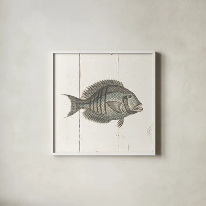 Fish Sketches I Shiplap by Wild Apple Portfolio. Shown in a crisp white glass frame for a clean and minimalist style. Available as an archival giclee rolled canvas, fine art paper, or poster print. SKU 36261a.