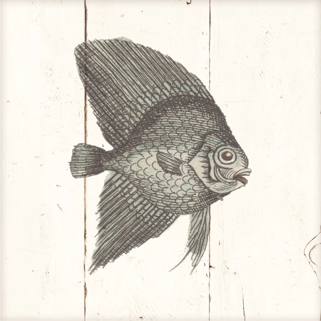 Fish Sketches III Shiplap by Wild Apple Portfolio. SKU 36263a. Archival Giclee Fine art print for wall decor.