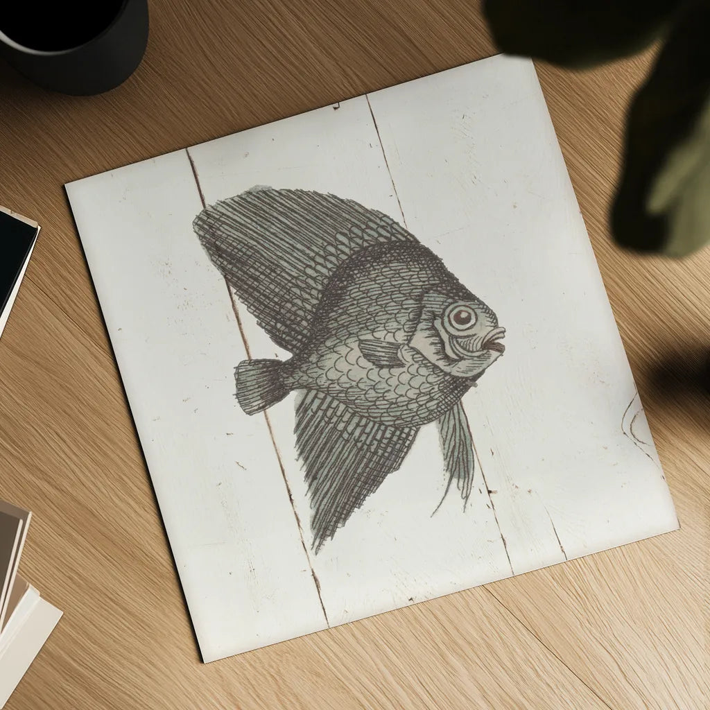 Fish Sketches III Shiplap by Wild Apple Portfolio. Shown as a detailed flat fine art print, highlighting archival giclee quality. Available as an archival giclee rolled canvas, fine art paper, or poster print. SKU 36263a.