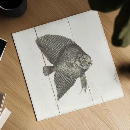 Fish Sketches III Shiplap by Wild Apple Portfolio. Shown as a detailed flat fine art print, highlighting archival giclee quality. Available as an archival giclee rolled canvas, fine art paper, or poster print. SKU 36263a.