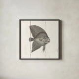 Fish Sketches III Shiplap by Wild Apple Portfolio. Shown in a sleek black glass frame for a contemporary gallery look. Available as an archival giclee rolled canvas, fine art paper, or poster print. SKU 36263a.