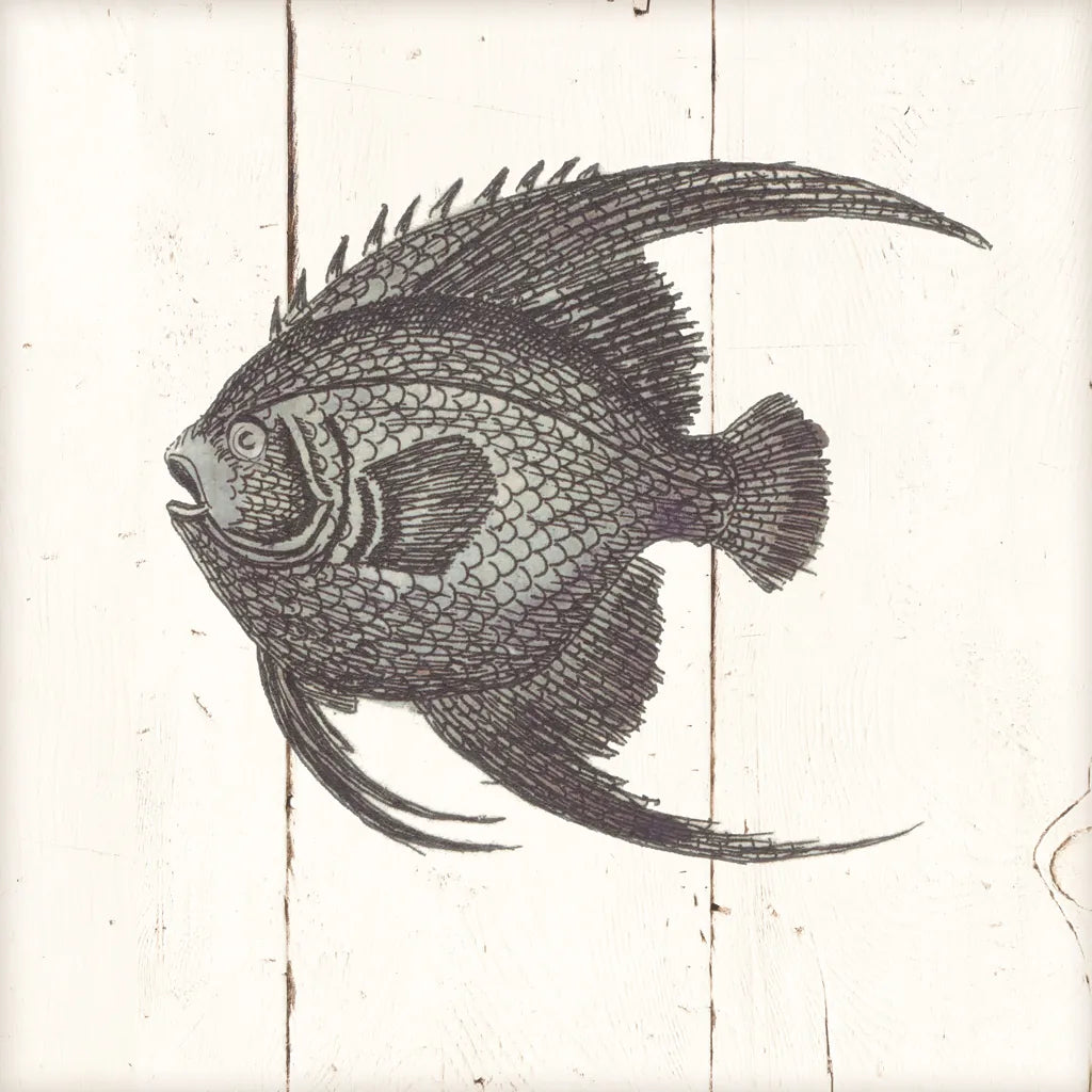Fish Sketches IV Shiplap by Wild Apple Portfolio. SKU 36264a. Archival Giclee Fine art print for wall decor.