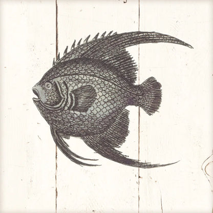 Fish Sketches IV Shiplap by Wild Apple Portfolio. SKU 36264a. Archival Giclee Fine art print for wall decor.