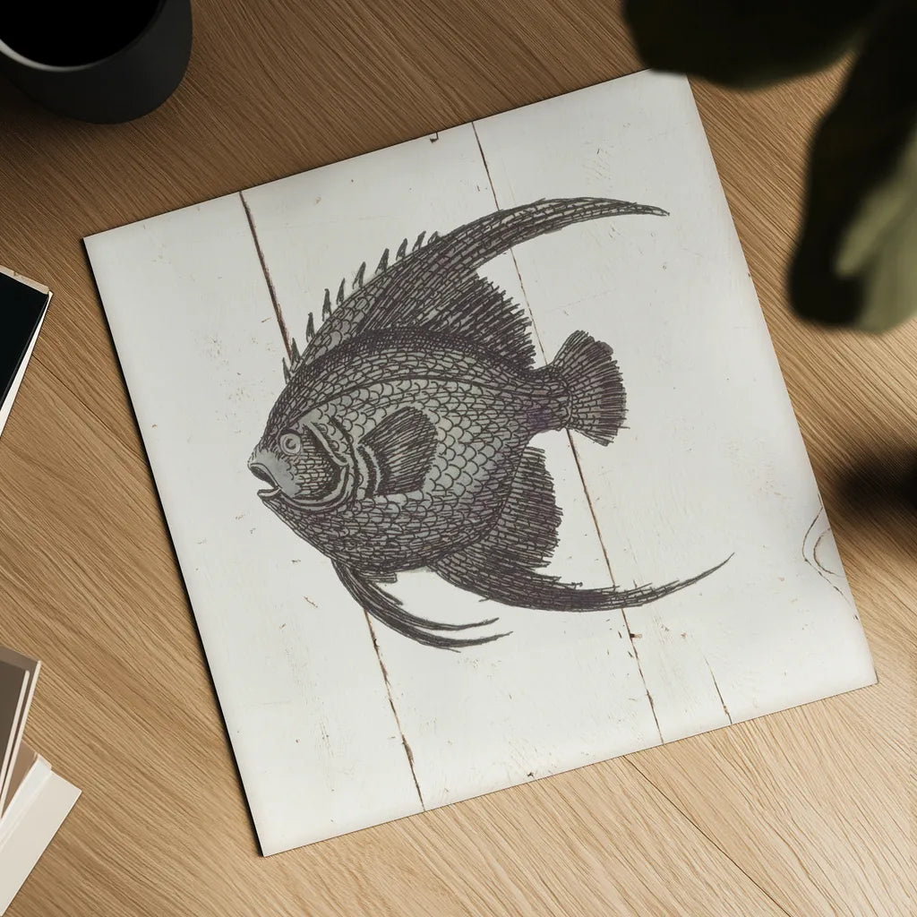 Fish Sketches IV Shiplap by Wild Apple Portfolio. Shown as a detailed flat fine art print, highlighting archival giclee quality. Available as an archival giclee rolled canvas, fine art paper, or poster print. SKU 36264a.