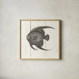 Fish Sketches IV Shiplap by Wild Apple Portfolio. Shown in a natural wood glass frame for a timeless modern aesthetic. Available as an archival giclee rolled canvas, fine art paper, or poster print. SKU 36264a.