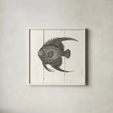 Fish Sketches IV Shiplap by Wild Apple Portfolio. Shown in a crisp white glass frame for a clean and minimalist style. Available as an archival giclee rolled canvas, fine art paper, or poster print. SKU 36264a.