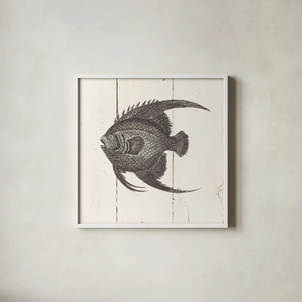 Fish Sketches IV Shiplap by Wild Apple Portfolio. Shown in a crisp white glass frame for a clean and minimalist style. Available as an archival giclee rolled canvas, fine art paper, or poster print. SKU 36264a.