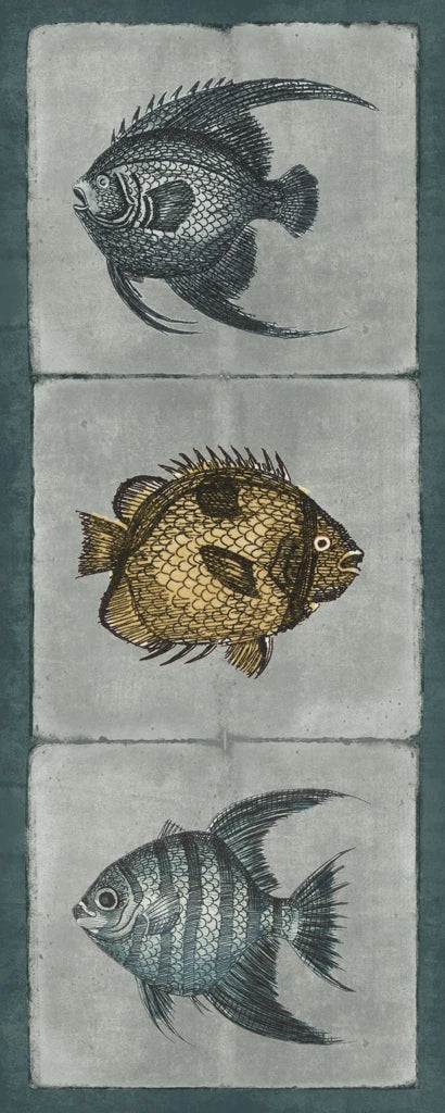 Fish Sketches V by Wild Apple Portfolio