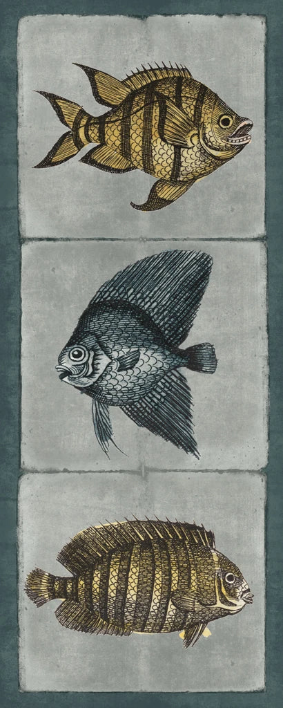 Fish Sketches VI by Wild Apple Portfolio