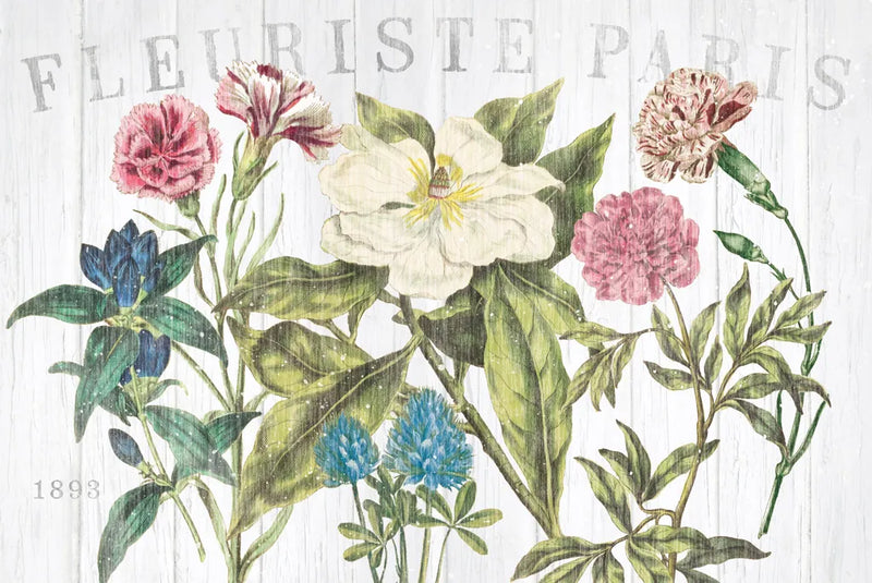Fleuriste Paris I by Wild Apple Portfolio. SKU 43574i. Archival Giclee Fine art print for wall decor.