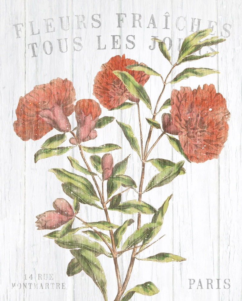 Fleuriste Paris III by Wild Apple Portfolio