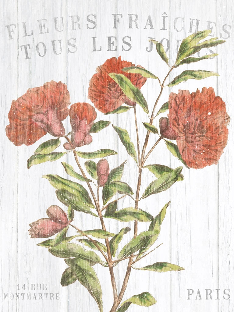 Fleuriste Paris III Crop by Wild Apple Portfolio