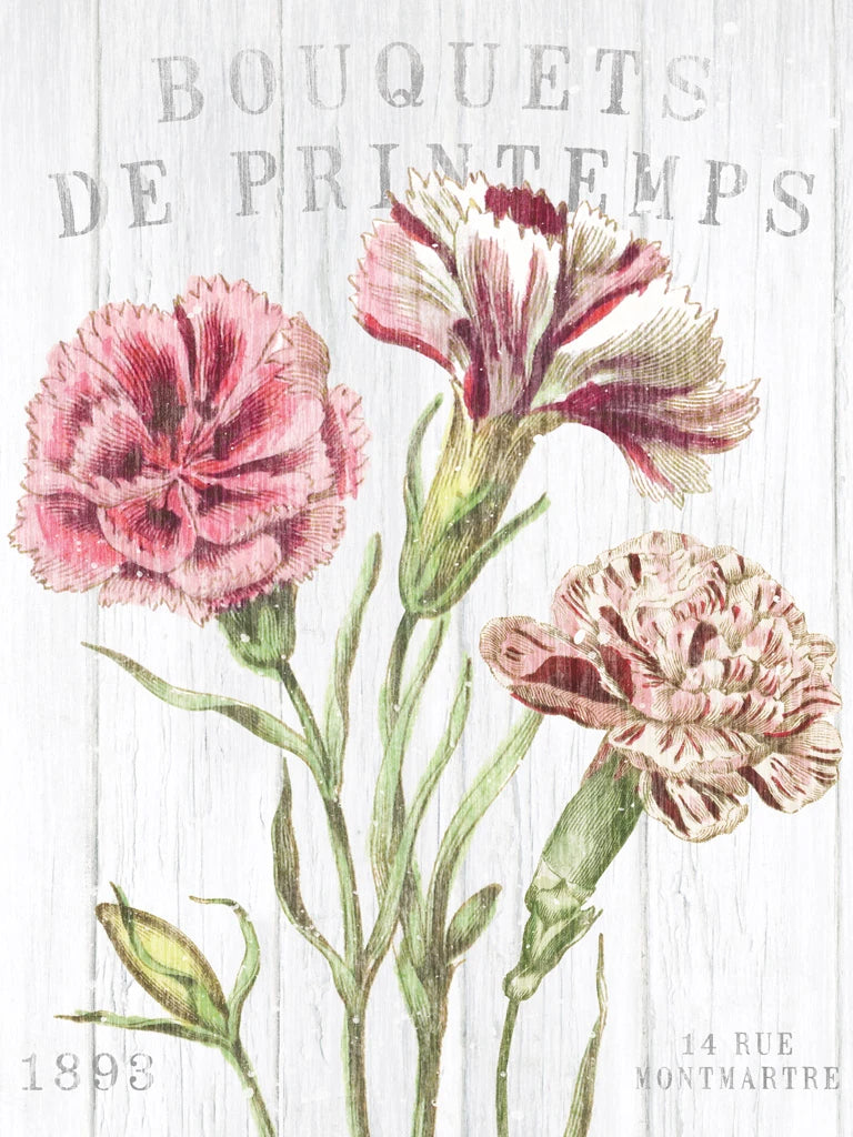 Fleuriste Paris IV Crop by Wild Apple Portfolio